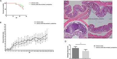Selenium-Enriched Lactobacillus acidophilus Ameliorates Dextran Sulfate Sodium-Induced Chronic Colitis in Mice by Regulating Inflammatory Cytokines and Intestinal Microbiota